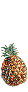 ananas