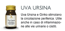 Uva ursina