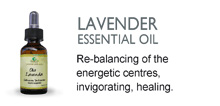 Lavender essential oil