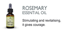 Rosemary essential oil