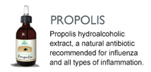 Propolis